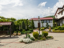 Pensiunea Casa Elena - accommodation in  Sibiu Surroundings (10)