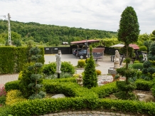 Pensiunea Casa Elena - alloggio in  Dintorni di Sibiu (11)