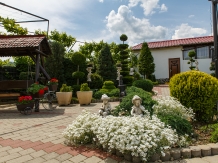 Pensiunea Casa Elena - accommodation in  Sibiu Surroundings (15)