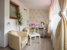 Pensiunea Casa Elena - accommodation in  Sibiu Surroundings (28)