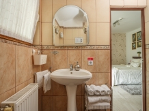 Pensiunea Casa Elena - accommodation in  Sibiu Surroundings (30)