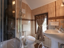 Pensiunea Casa Elena - alloggio in  Dintorni di Sibiu (33)