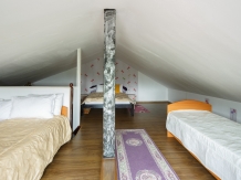 Pensiunea Casa Elena - accommodation in  Sibiu Surroundings (38)