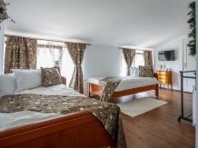 Pensiunea Casa Elena - accommodation in  Sibiu Surroundings (45)