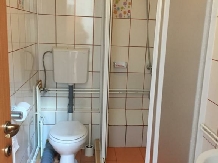 Pensiunea Kristine - accommodation in  Transylvania (10)