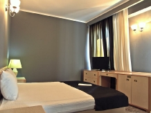 Pensiunea Da Vinci Residence - accommodation in  Transylvania (09)