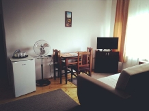 Casa Kiev - accommodation in  Transylvania (15)