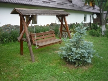 Cabana Vanatoreasca - accommodation in  Oltenia (05)