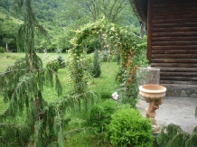 Cabana Vanatoreasca - accommodation in  Oltenia (06)