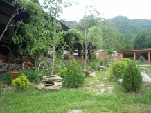 Cabana Vanatoreasca - accommodation in  Oltenia (08)