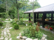 Cabana Vanatoreasca - alloggio in  Oltenia (11)