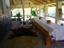 Cabana Vanatoreasca - accommodation in  Oltenia (23)