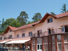 LapePensiunea Dumbrava - accommodation in  Transylvania (01)