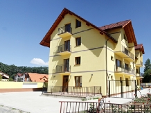 Casa Micu - alloggio in  Transilvania (02)