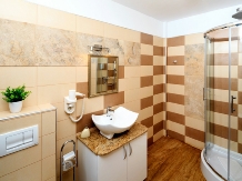 Vila Style Residence - cazare Transilvania (17)