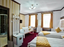 Pensiunea Sibiana - accommodation in  Transylvania (15)