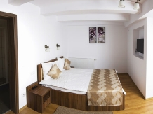 Pensiunea Transilvania - accommodation in  Transylvania (05)