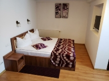 Pensiunea Transilvania - accommodation in  Transylvania (10)