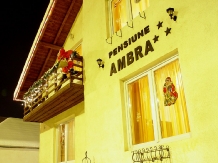 Pensiunea Ambra - accommodation in  Transylvania (02)