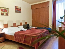 Pensiunea Belascu - accommodation in  Transylvania (13)