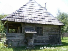 Casa Gorjeana - alloggio in  Nord Oltenia (36)