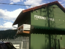 Pensiunea Aprilie - accommodation in  Danube Boilers and Gorge, Clisura Dunarii (04)