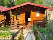 Sat de vacanta Bell Ale - alloggio in  Gola del Danubio, Clisura Dunarii (13)