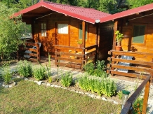 Sat de vacanta Bell Ale - accommodation in  Danube Boilers and Gorge, Clisura Dunarii (14)
