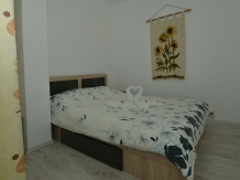 Casa Verde - accommodation in  Danube Boilers and Gorge, Clisura Dunarii (09)