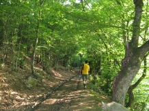 Pensiunea Septembrie - alloggio in  Gola del Danubio, Clisura Dunarii (22)