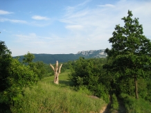 Pensiunea Septembrie - alloggio in  Gola del Danubio, Clisura Dunarii (23)