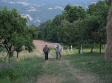 Pensiunea Septembrie - alloggio in  Gola del Danubio, Clisura Dunarii (26)