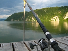 Pensiunea Septembrie - alloggio in  Gola del Danubio, Clisura Dunarii (41)