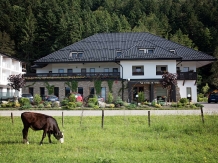 Pensiunea La Conac in Bucovina - alloggio in  Gura Humorului, Voronet, Bucovina (26)