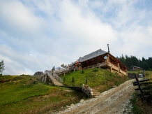 Rural accommodation at  Pensiunea Casa Razesului