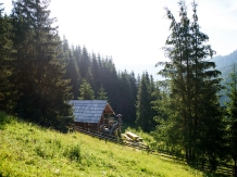 Pensiunea Casa Razesului - accommodation in  Vatra Dornei, Bucovina (04)
