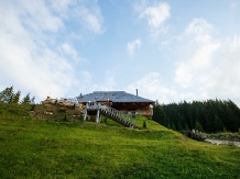 Pensiunea Casa Razesului - accommodation in  Vatra Dornei, Bucovina (09)