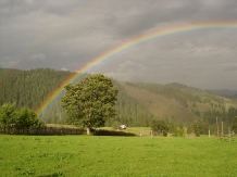 Pensiunea Irina - accommodation in  Bucovina (16)