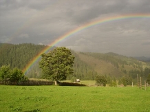 Pensiunea Irina - cazare Bucovina (16)