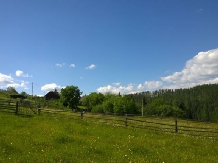 Pensiunea Irina - accommodation in  Bucovina (18)
