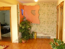 Pensiunea Cemira Lux - accommodation in  Vatra Dornei, Bucovina (18)