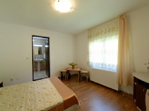 Pensiunea Izvorul Muntelui - accommodation in  Vatra Dornei, Bucovina (07)