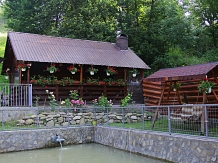 Casa de vacanta La Izvor - alloggio in  Gura Humorului, Bucovina (05)