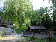 Casa de vacanta La Izvor - alloggio in  Gura Humorului, Bucovina (11)