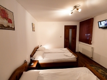 Pensiunea Flori Sibiel - accommodation in  Sibiu Surroundings (10)