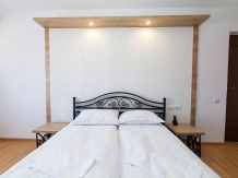 Pensiunea Marea Alpina - accommodation in  Maramures Country (04)