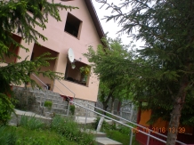 Cabana Anemona - accommodation in  Moldova (12)