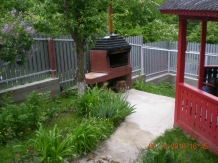 Cabana Anemona - alloggio in  Moldova (14)