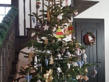 Conacu Boierului - alloggio in  Oltenia (22)