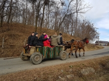 Conacu Boierului - cazare Oltenia (26)